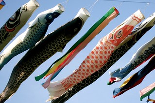 'koinobori' by
kazuletokyoite