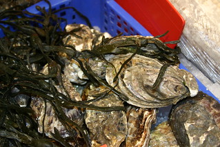 'Oysters on a market stall in Gloucester' by James F Clay