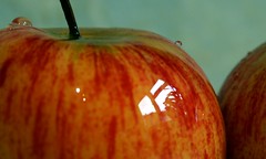 'Apple fruit' by @Doug88888