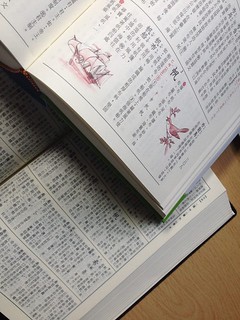 TAIWAN_DICTIONARY_B by Maki, on Flickr